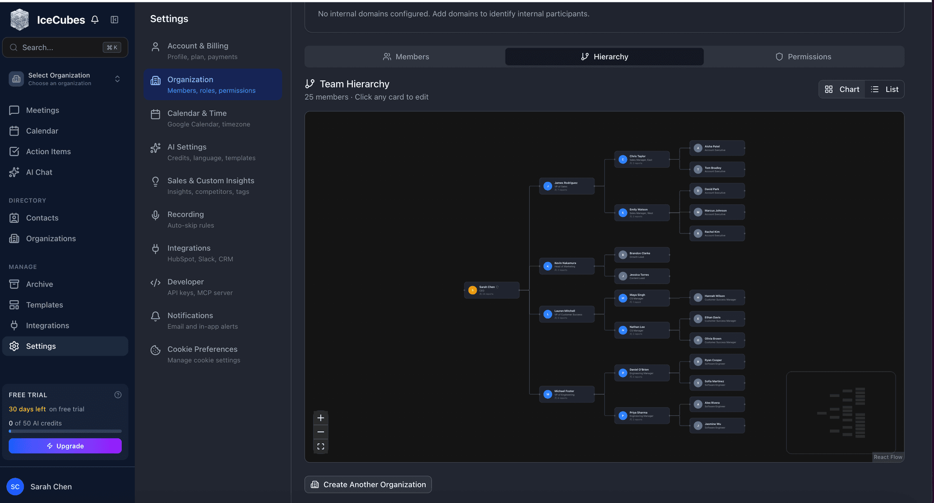 Team Hierarchy in chart view showing an organizational chart with connected nodes for each team member